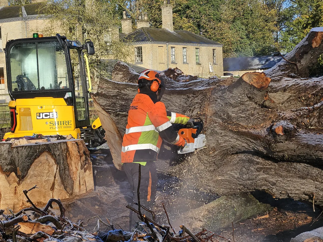 A stump being ground out